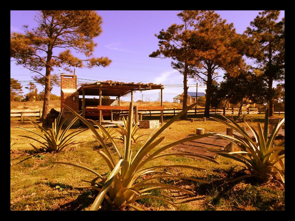 Hostel El Nagual ปุนตาเดลดีอาโบล ภายนอก รูปภาพ