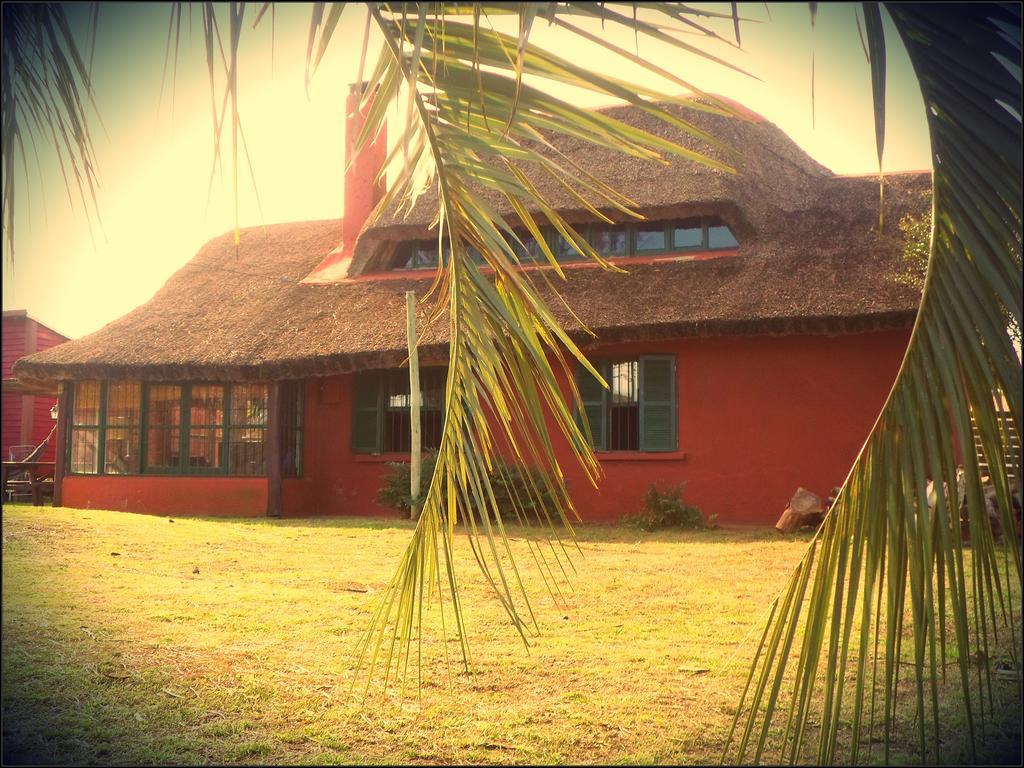 Hostel El Nagual ปุนตาเดลดีอาโบล ภายนอก รูปภาพ