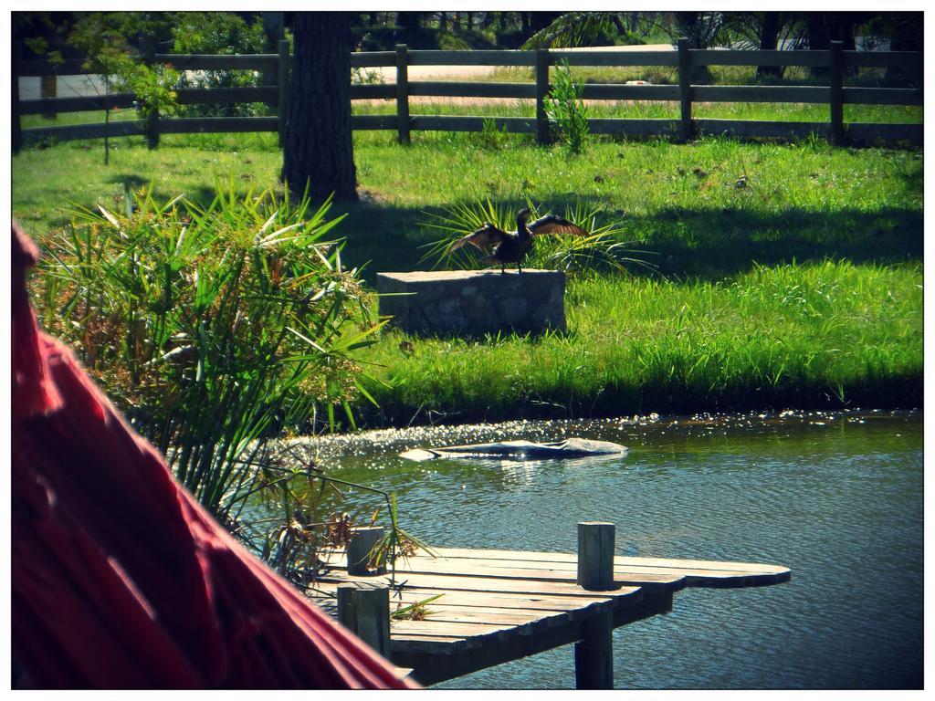 Hostel El Nagual ปุนตาเดลดีอาโบล ภายนอก รูปภาพ